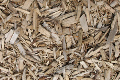 biomass boilers Troedrhiwffenyd